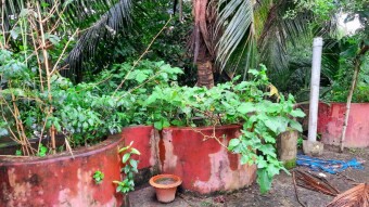 Photography of rooftop garden.
