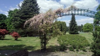 A bit cool but spring - My Actifit Report Card: May 8 2025