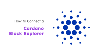 How to Connect to Cardano Block Explorer