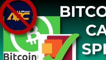 Why Did the Latest Bitcoin Cash Fork Turn Out Differently?