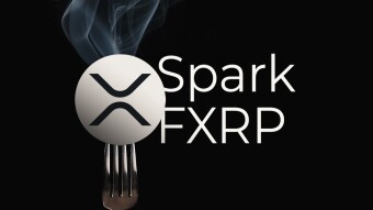 Spark Token distribution details for XRP holders