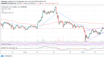 Ethereum Price Forecast: ETH/USD Hits A Wall At $230, Why $200 Is Still In The Picture?