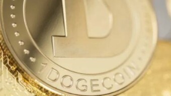 Free Doge every 2 minutes .Fake or real ?