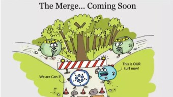 Will the Fed Fall in Love with CBDCs, or Not?