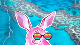 Multi-week campaign update
