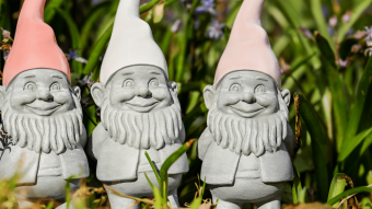 Underpants gnomes: understanding dApps