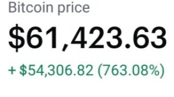 Cryptocurrencies: Is 2021 the market correction or the bull run?