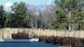 January Sunday walk in spring scenery - continuation - My Actifit Report Card: January 8 2023