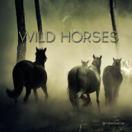 Wild Horses
