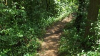 Trail Running: Etiquette, Tips, Advice for Beginners