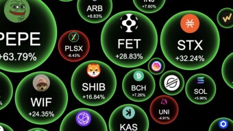 CryptoQuant CEO Declares Meme Coins “Dead”