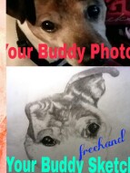 Pet Free Hand Original Portraits