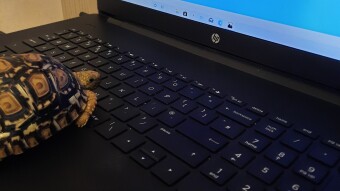 Crypto the Trading Tortoise - About me!