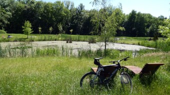 Cycling again and good news from construction sites - Park Śląski gets up from its knees - My Actifit Report Card: June 3 2023