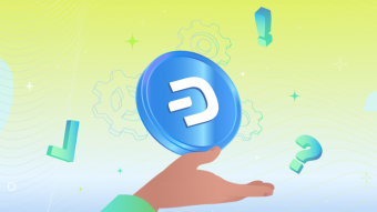 How to Get Started with Dash: A Step-by-Step Guide for Beginners