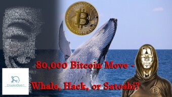80,000 Bitcoin Move - Whale, Hack, or Satoshi?