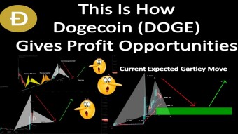 This Is How Dogecoin (DOGE) Gives Profit Opportunities