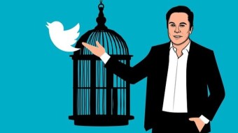 Elon Musk is quitting as Twitter CEO amid Tesla stock crashing