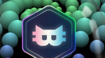 Catly - blissful opportunity for crypto lovers.