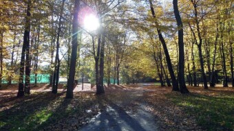 A special day, happy and sad at the same time - My Actifit Report Card: November 1 2023