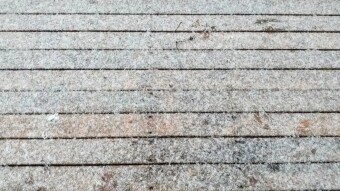 First Snowflakes Of This Winter