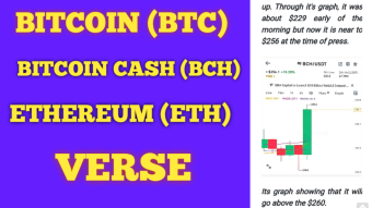 BTC, BCH, ETH And VERSE are on Their Track.