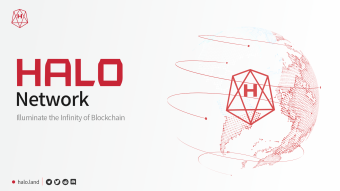 Blockchain Interoperability: What This Means For HALO Network