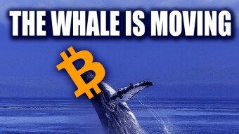 {B654364}- THE WHALE IS MOVING - LA BALLENA SE ESTÁ MOVIENDO- {B654364}
