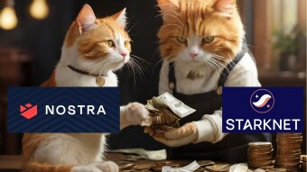 Crypto Platforms That Could Collapse Like FTX & DeFi Alternatives