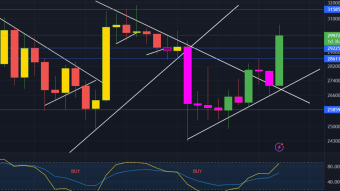 Market Weekly Insider: Too Bullish? Your Right... ~Optimize Your Wealth~