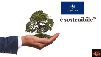 Crypto.com è sostenibile ?