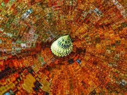 The Ripple Effect