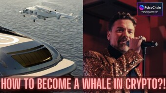 How To Become A Whale In Crypto?! Pulsechain Gold Rush Price Discovery Is Coming Soon!