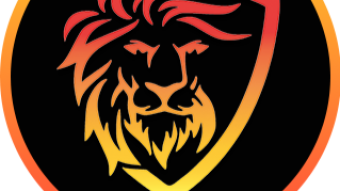 Guide for migrating Cub from Den to Kingdom in cubdefi.com