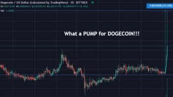 Doge Coin crypto gains of late along with Cat Meow’s lost kitten story