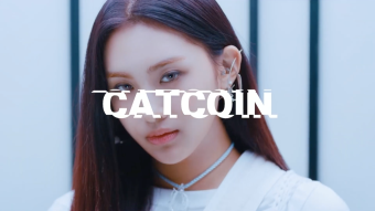 CATCOIN launching on PANCAKESWAP! 🐱🚀🌙