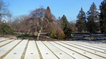Finally a beautiful and sunny day - My Actifit Report Card: February 28 2023