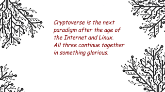 Is Cryptoverse taking the path same as the Internet had?