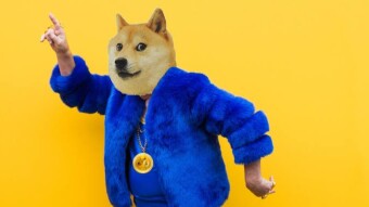 We'll be Launching the #DOGE