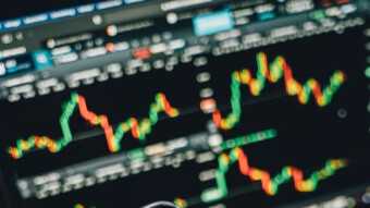 Why Degen NFT Projects Make Milions While Real Utility Flops