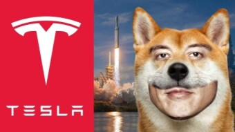 Elon Musk & Dogecoin