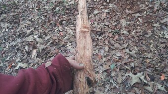 Apocalyptic Homesteading (Day 16)
