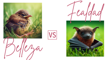 Belleza versus Fealdad