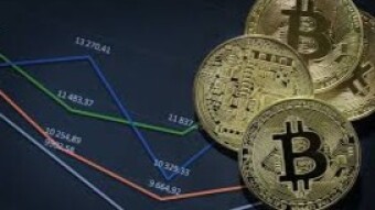 Crypto Insights: Overbought and Underbought Coins to watch amid market fluctuations