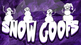 Snow Goofs