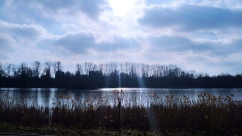 The sun has returned and there is hope for the imminent arrival of spring