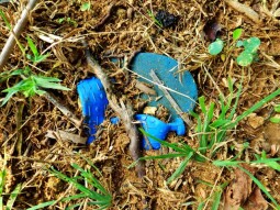 Flip-Flops Burial Phenomena