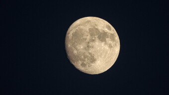 Reddit decides to ruin Moon Token again.