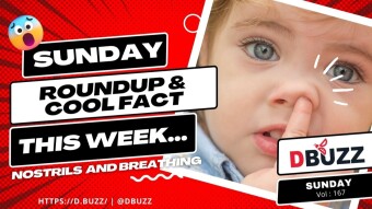 D.Buzz Weekly Intriguing Trivia: Unveiling the Nasal Alternation Phenomenon