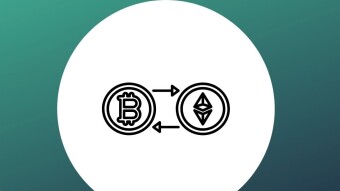 Is maximalism healthy for cryptocurrency and blockchain adoption?